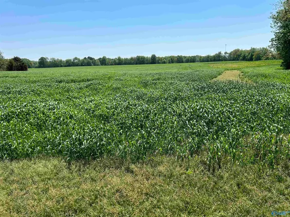 Ready Section Rd, Toney, AL 35773