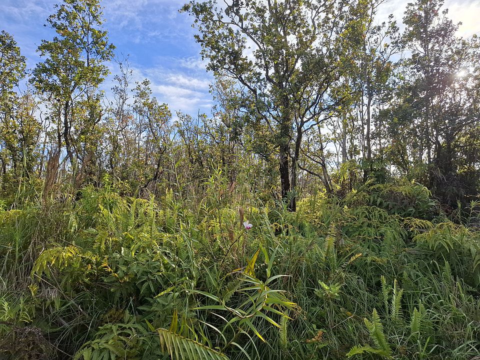 1st image of Noe Kuahiwi Rd Lot 30