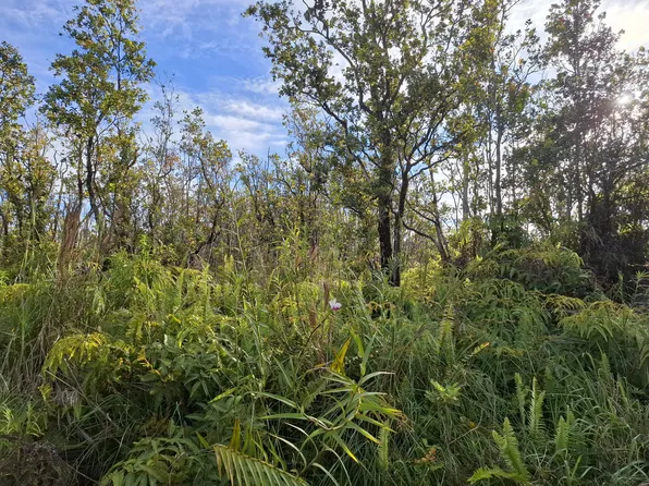 Noe Kuahiwi Rd Lot 30, Volcano, HI 96785