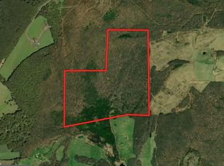 0 Steyer Mine Rd, Oakland, MD 21550