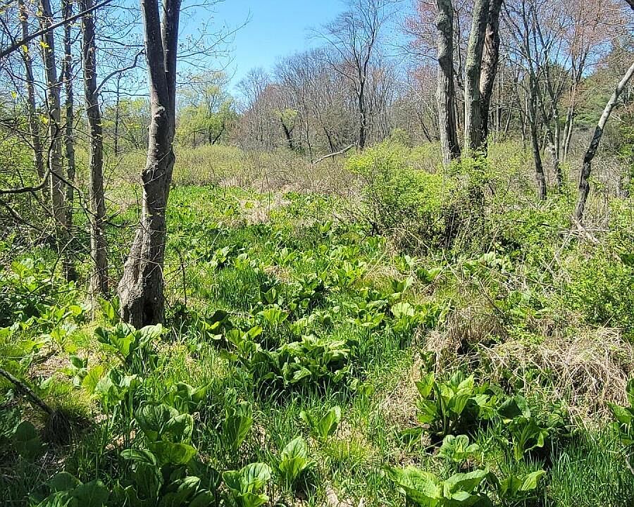 2nd image of Lower Demunds Rd
