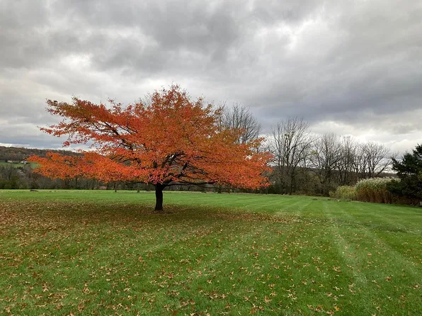 60 Beverly Dr, Kintnersville, PA 18930