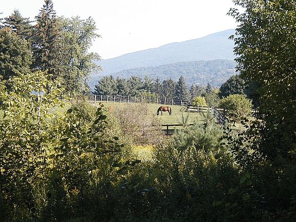 View of the neighboring farm