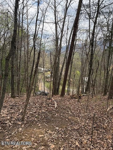 1st image of 151 Hennessy Mountain Way