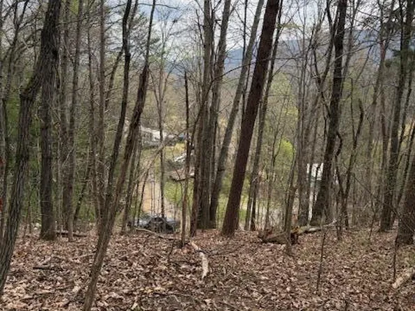 151 Hennessy Mountain Way, Cosby, TN 37722