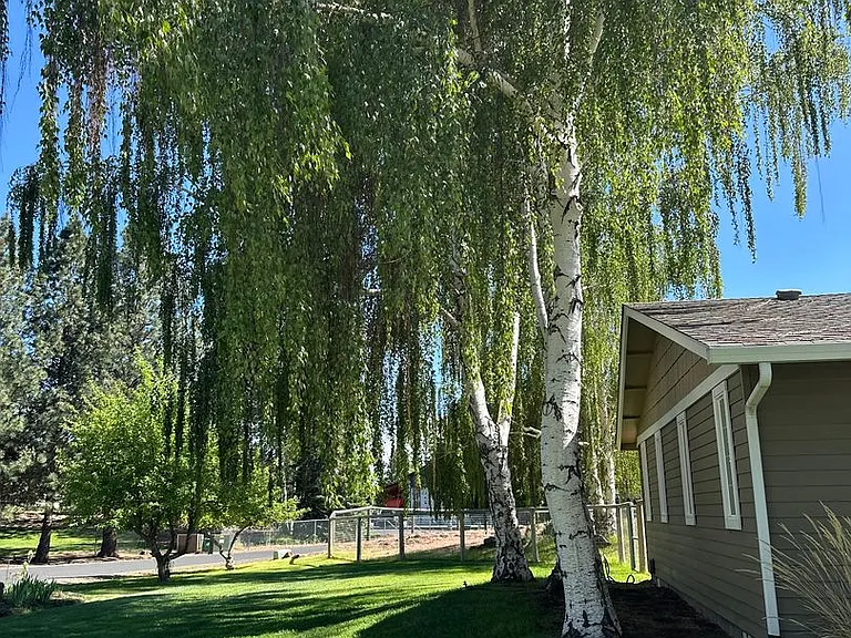 21700 Stud Ct — Photo 6
