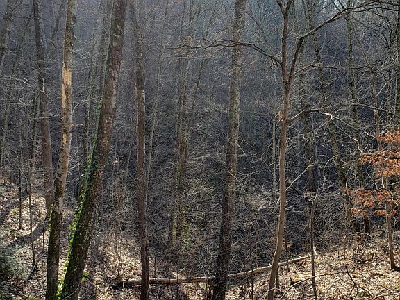 5th image of 0 Ridgeland Cir Lot 4