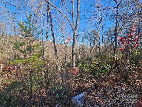 4th image of 0 Lure Ridge Dr Lot 1