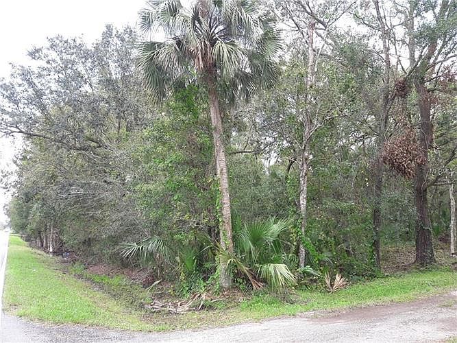 1st image of Old Tampa Hwy
