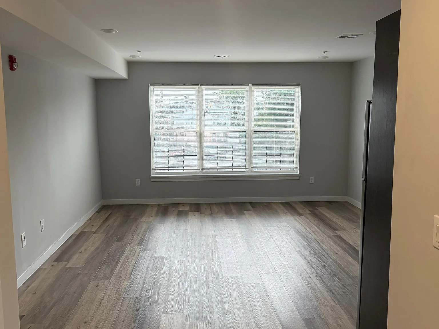 Studio, $1,309 — Photo 3