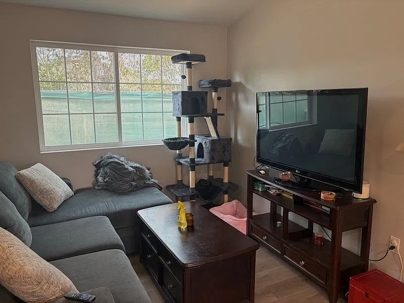 3 bed, 1200 sqft, $1,500 — Photo 3