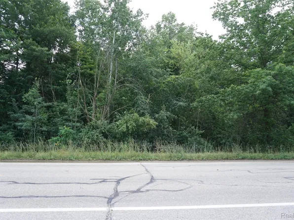 Vacant Willow Rd, New Boston, MI 48164