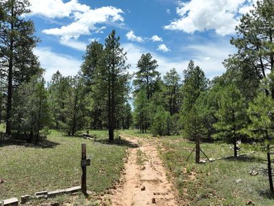 131 Cinder Cone Rd, Grants, NM, 87020