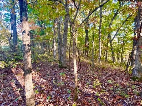 5-6 & 7 Lakewood Ln, Barnett, MO 65011