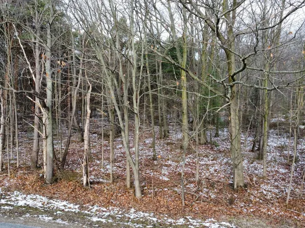 LOT 1 James St, Holland, MI 49424
