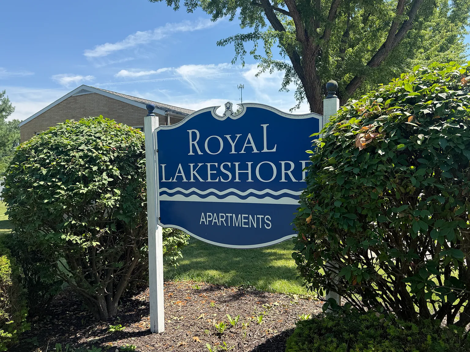 1 bed, $850 — Photo 1