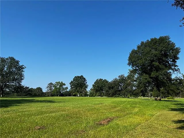 475 Deerfield Rd — Photo 6