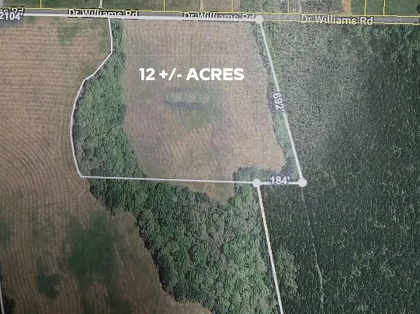 0 Dr Williams Dr, Michie, TN 38357