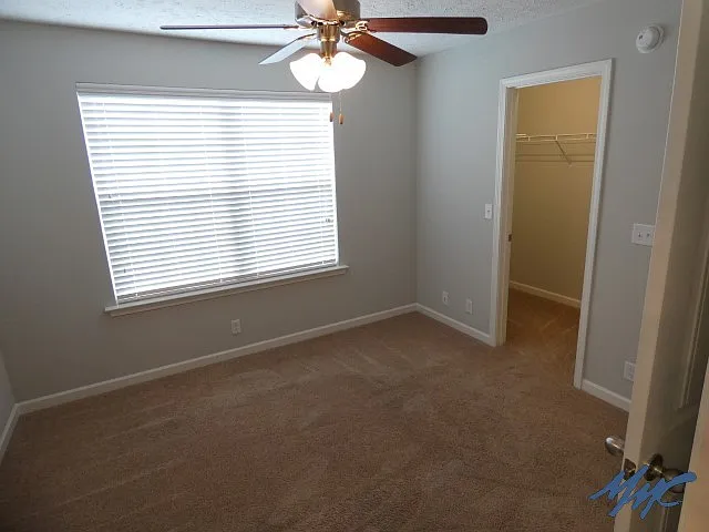 2521 Jackalope St — Photo 19