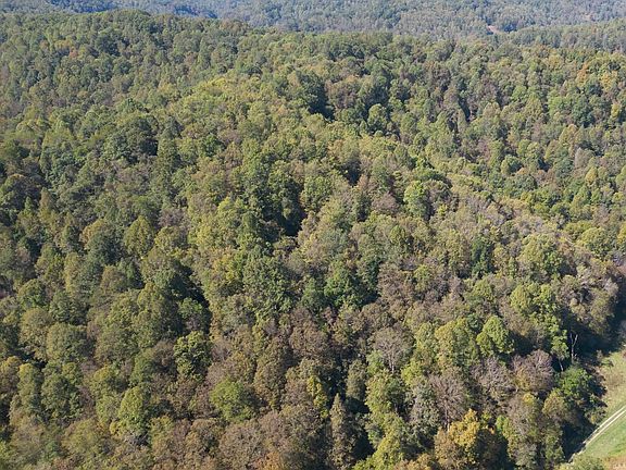 3rd image of Flag Run Rd