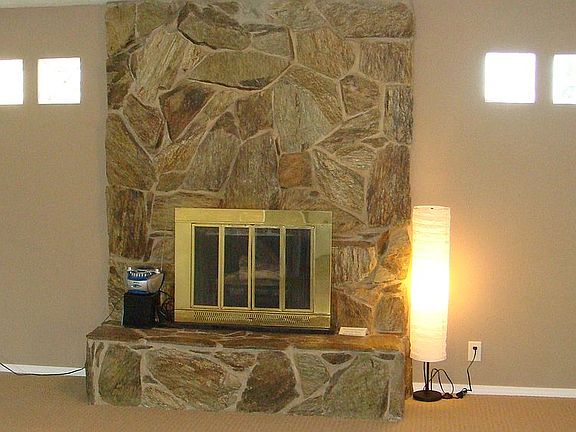 Wood-burning fireplace
