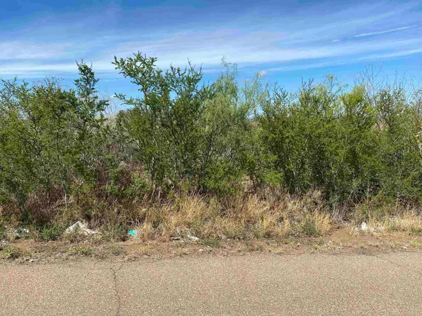 2119 Sunset Dr, Zapata, TX 78076