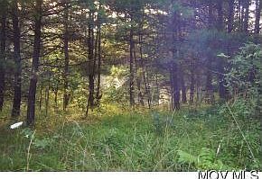 2nd image of 46 Rr 1