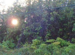 Old Volcano Rd LOT 53B4, Volcano, HI 96785