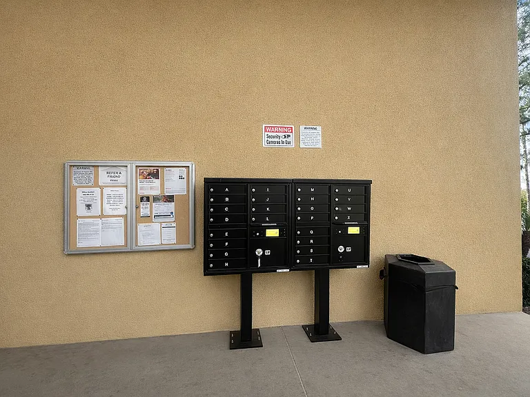 Palm Vista Apartments — Photo 8