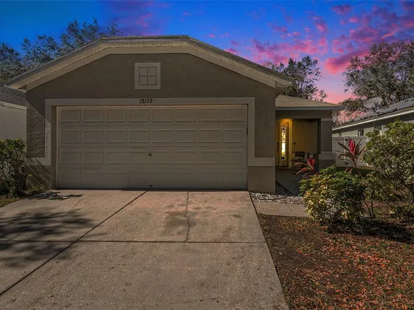 18172 Canal Pointe St, Tampa, FL 33647
