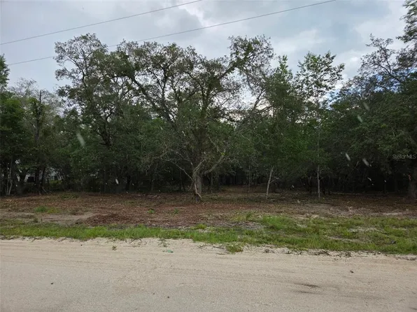 21531 SE 68th Ln Lot 10, Morriston, FL 32668