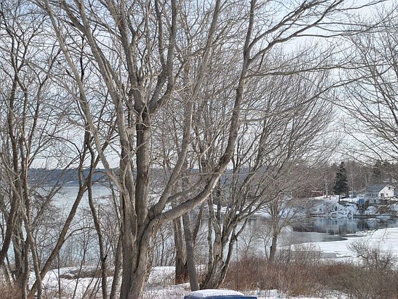 View during the winter