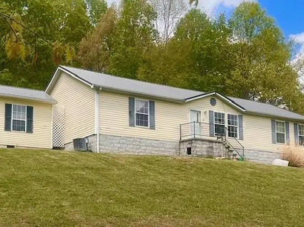 1677 Grapefield Rd, Bastian, VA 24314