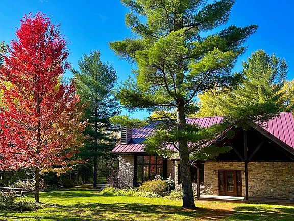 Fall- Apple trees, pear trees