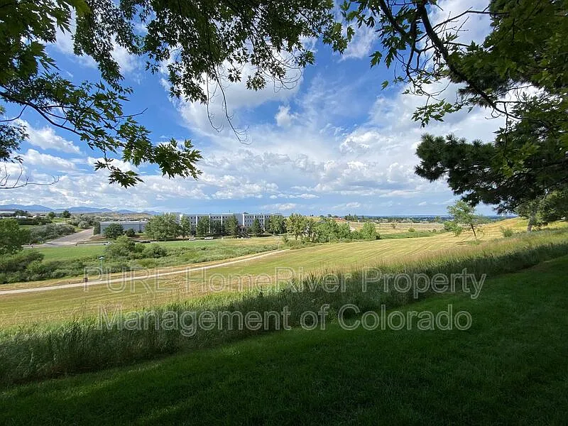 2 bed, 1.0 bath, 967 sqft, $1,750 — Photo 3