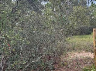 Scooby Rd LOT 67, Brooksville, FL 34604