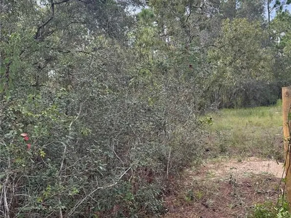 Scooby Rd Lot 67, Brooksville, FL 34604