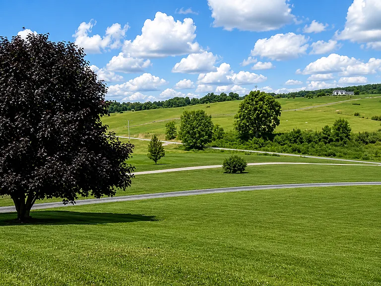 5500 Dishner Valley Rd — Photo 4