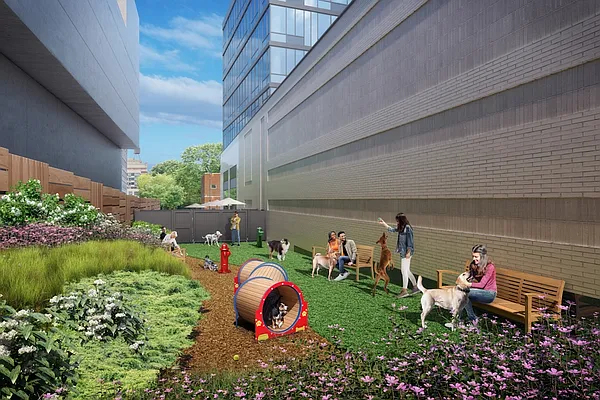 Rented by Red Apple Group | media 19