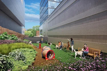 Rented by Red Apple Group