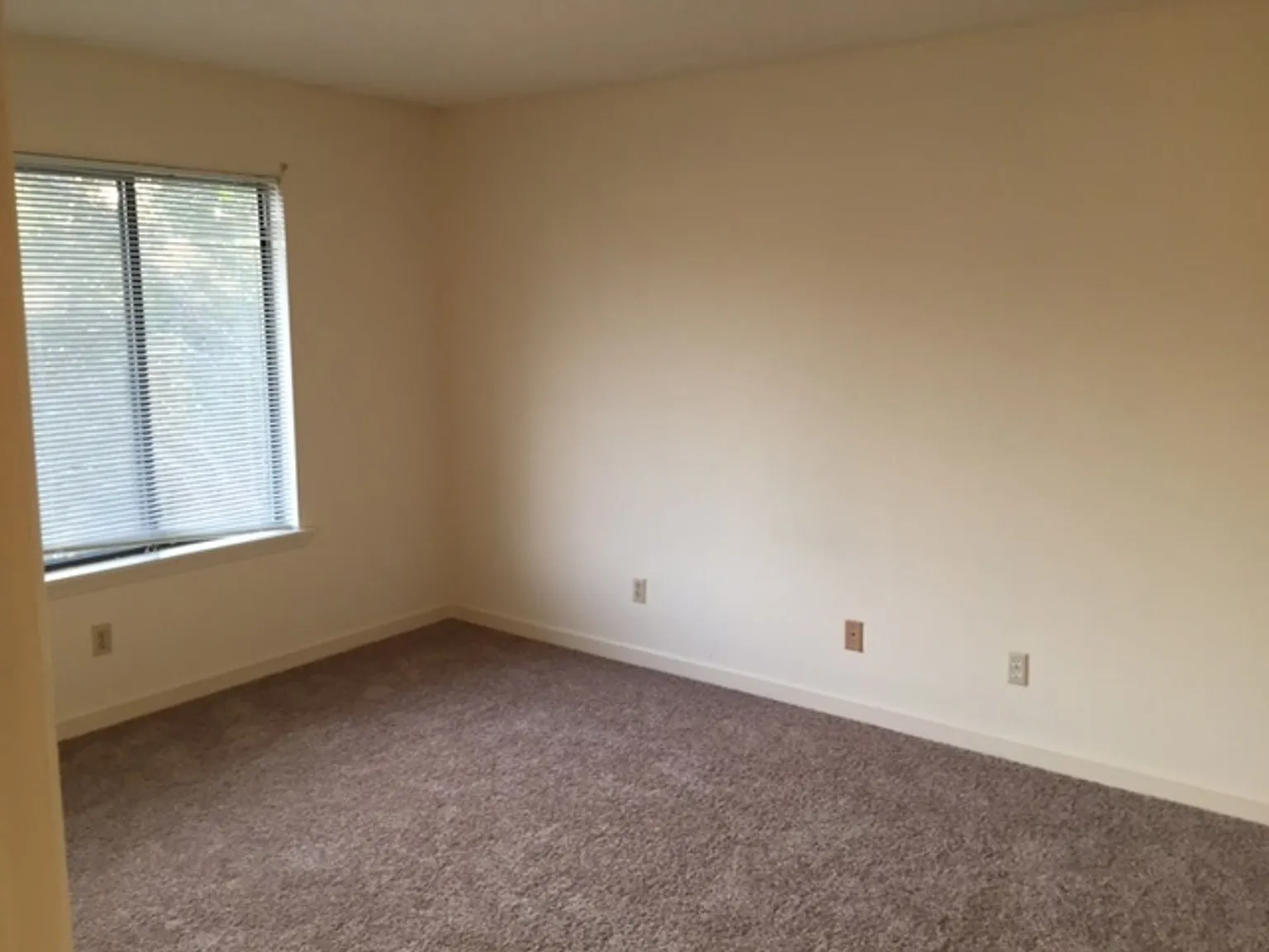 Laurel Street Apartments — Photo 4