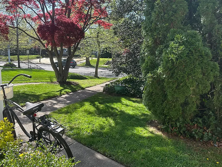 416 Ludlow Ave — Photo 12