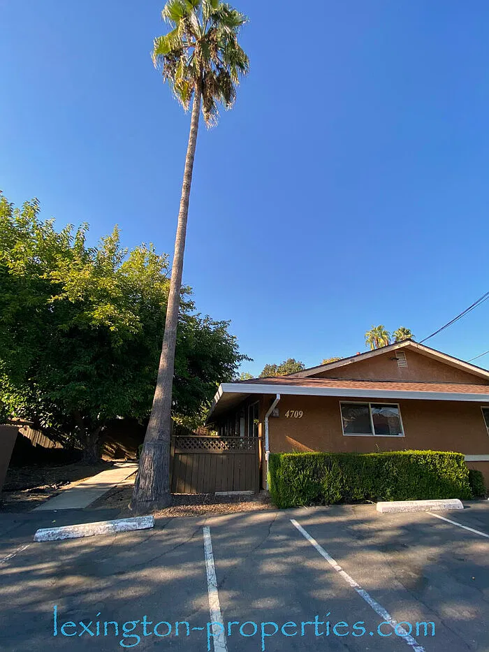 2 bed, 1.0 bath, 800 sqft, $1,700 — Photo 2