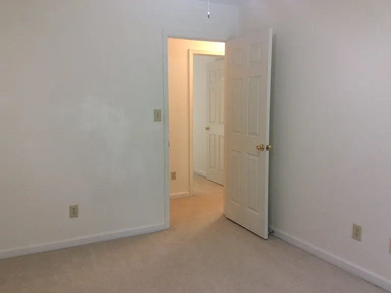 3913 Vass Ln — Photo 29