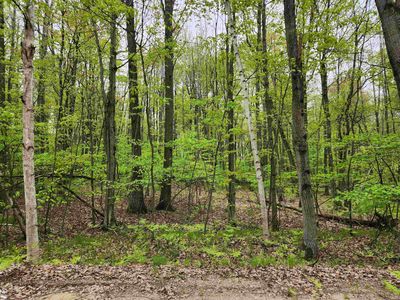 LOT 782 Elkhorn Way, Farwell, MI, 48622
