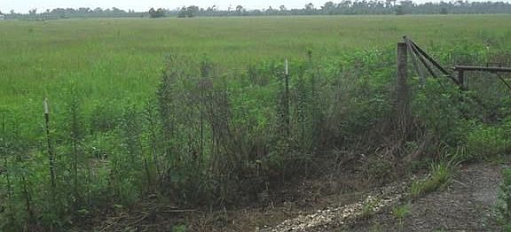 5th image of 18130 Highway 105