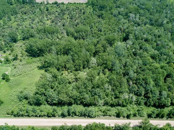 Vl N Geneva Rd, Coleman, MI 48618