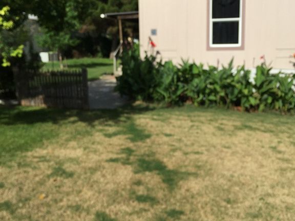 2nd image of 28 Sunset Ave