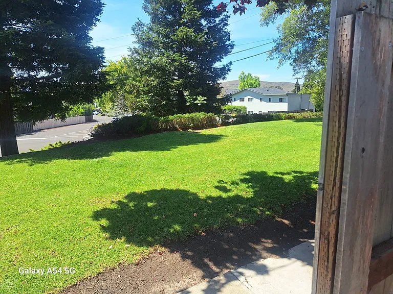 1239 Southwood Dr — Photo 19