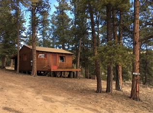 203 Johnson Rd, Bailey, CO 80421